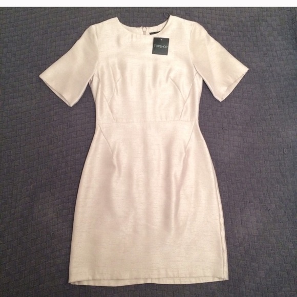 Topshop A-line Beige Shimmer Dress - Picture 3 of 4